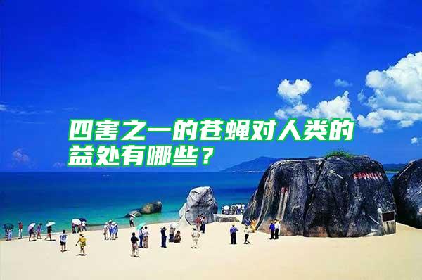 四害之一的蒼蠅對人類的益處有哪些？