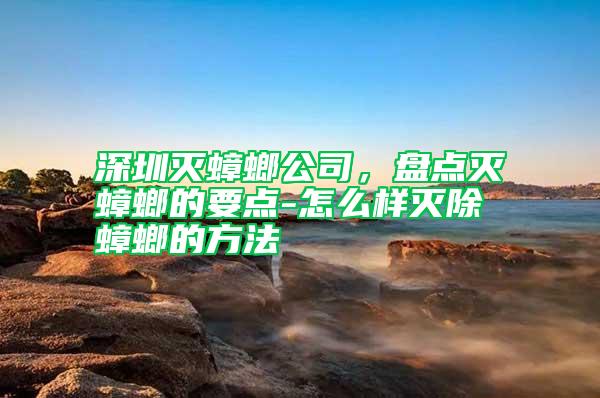 深圳滅蟑螂公司，盤點(diǎn)滅蟑螂的要點(diǎn)-怎么樣滅除蟑螂的方法