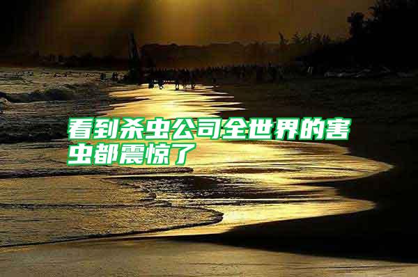 看到殺蟲(chóng)公司全世界的害蟲(chóng)都震驚了