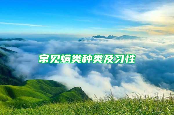 常見螨類種類及習性