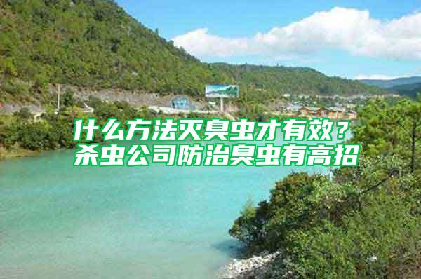 什么方法滅臭蟲才有效？殺蟲公司防治臭蟲有高招