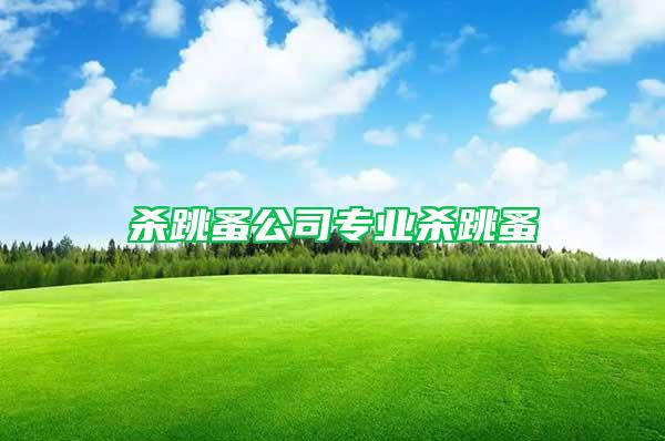 殺跳蚤公司專業殺跳蚤