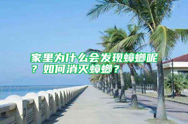 家里為什么會(huì)發(fā)現(xiàn)蟑螂呢？如何消滅蟑螂？