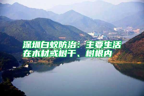深圳白蟻防治：主要生活在木材或樹干、樹根內