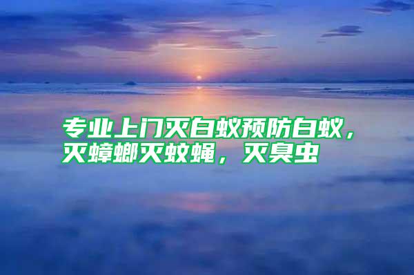 專業(yè)上門滅白蟻預(yù)防白蟻，滅蟑螂滅蚊蠅，滅臭蟲