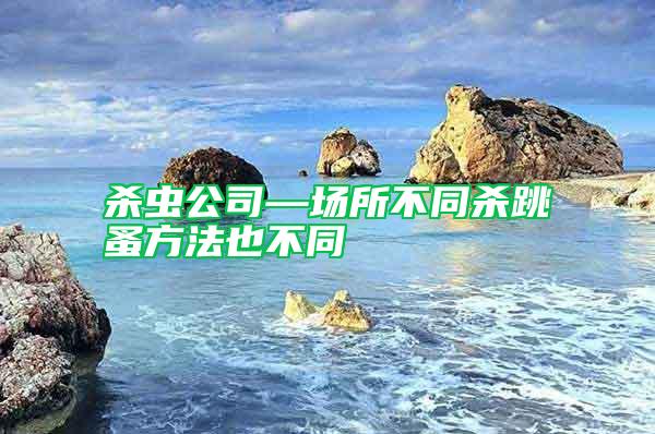 殺蟲公司—場所不同殺跳蚤方法也不同