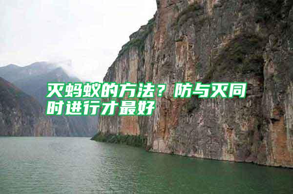 滅螞蟻的方法？防與滅同時進行才最好