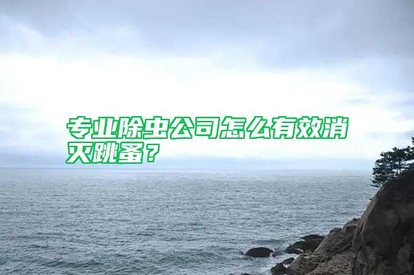 專業(yè)除蟲公司怎么有效消滅跳蚤？