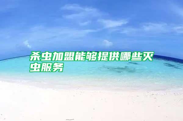 殺蟲加盟能夠提供哪些滅蟲服務