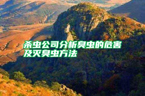 殺蟲(chóng)公司分析臭蟲(chóng)的危害及滅臭蟲(chóng)方法