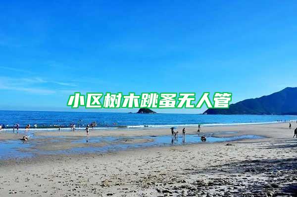 小區樹木跳蚤無人管