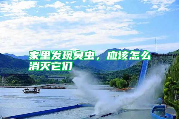 家里發現臭蟲，應該怎么消滅它們