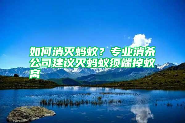 如何消滅螞蟻？專業(yè)消殺公司建議滅螞蟻須端掉蟻窩