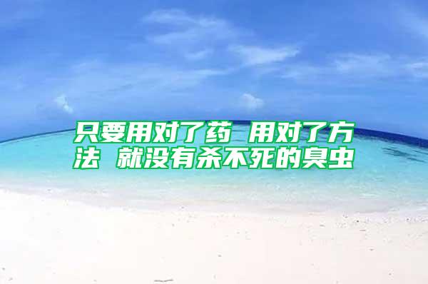 只要用對(duì)了藥 用對(duì)了方法 就沒(méi)有殺不死的臭蟲(chóng)