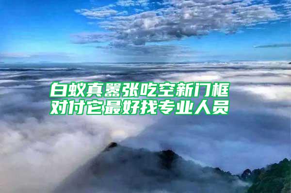 白蟻真囂張吃空新門(mén)框 對(duì)付它最好找專(zhuān)業(yè)人員