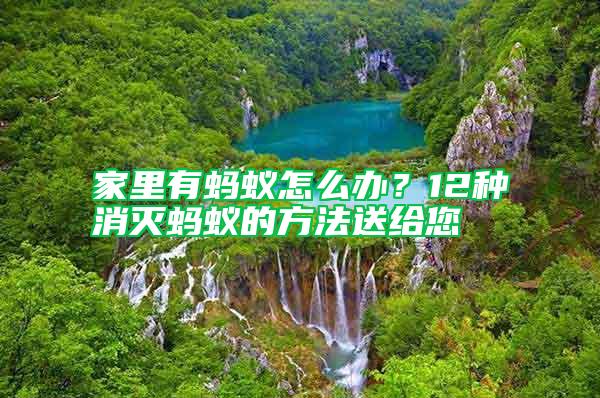 家里有螞蟻怎么辦？12種消滅螞蟻的方法送給您
