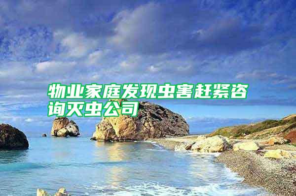 物業(yè)家庭發(fā)現(xiàn)蟲害趕緊咨詢滅蟲公司