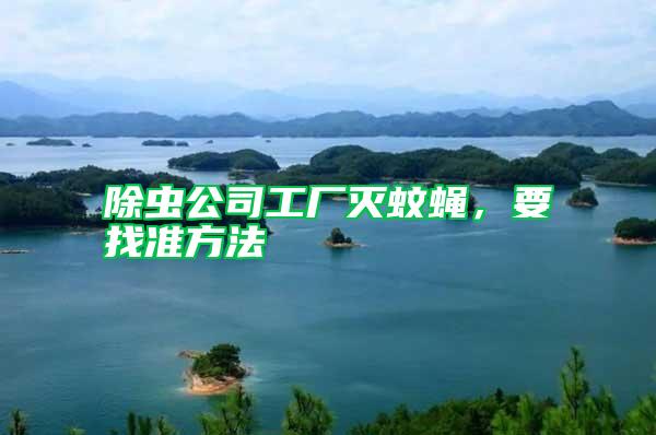 除蟲公司工廠滅蚊蠅，要找準(zhǔn)方法