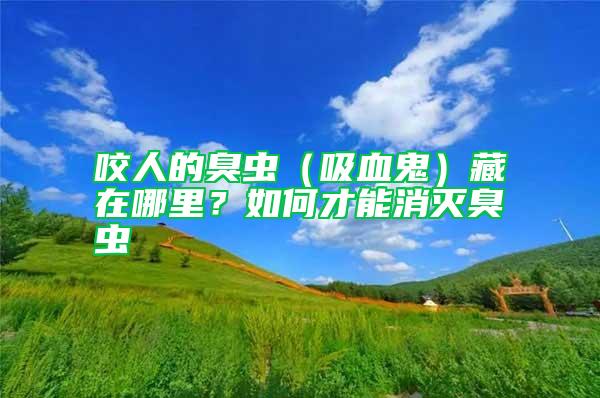 咬人的臭蟲（吸血鬼）藏在哪里？如何才能消滅臭蟲