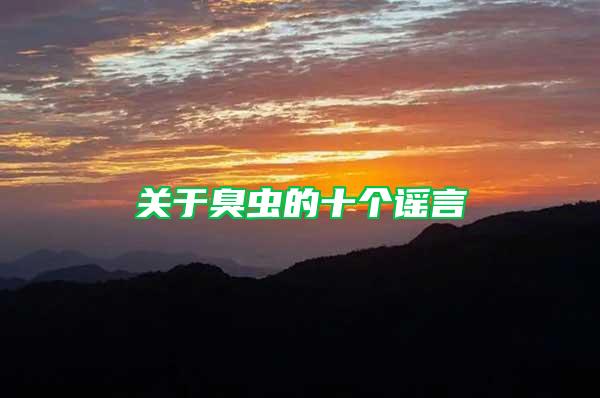 關(guān)于臭蟲(chóng)的十個(gè)謠言