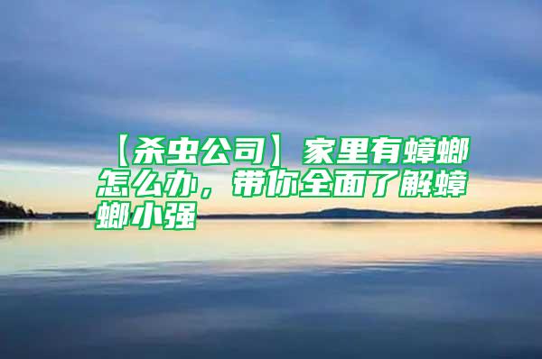 【殺蟲(chóng)公司】家里有蟑螂怎么辦，帶你全面了解蟑螂小強(qiáng)