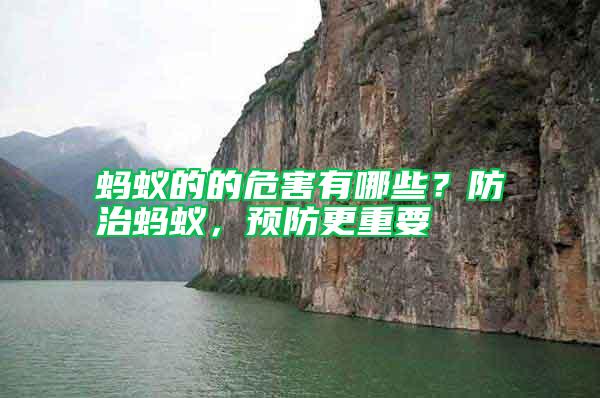 螞蟻的的危害有哪些？防治螞蟻，預防更重要