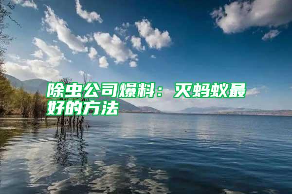 除蟲公司爆料：滅螞蟻?zhàn)詈玫姆椒?/></p>
             <p style=