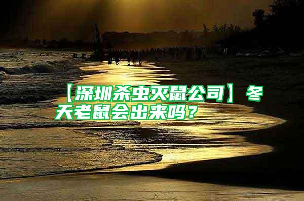 【深圳殺蟲滅鼠公司】冬天老鼠會出來嗎？