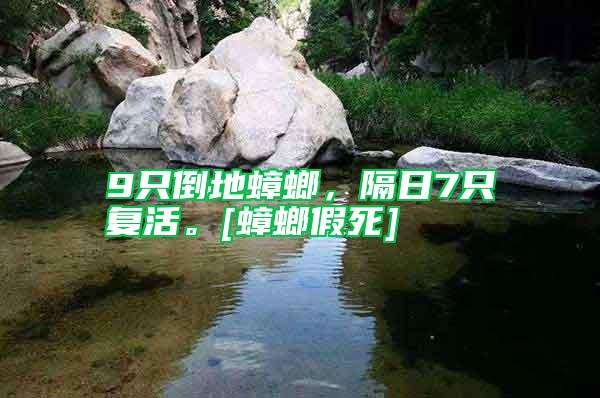 9只倒地蟑螂，隔日7只復活。[蟑螂假死]