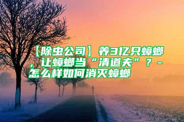 【除蟲(chóng)公司】養(yǎng)3億只蟑螂，讓蟑螂當(dāng)“清道夫”？-怎么樣如何消滅蟑螂