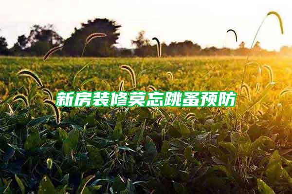 新房裝修莫忘跳蚤預防