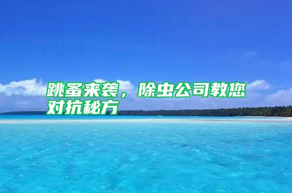 跳蚤來(lái)襲，除蟲(chóng)公司教您對(duì)抗秘方