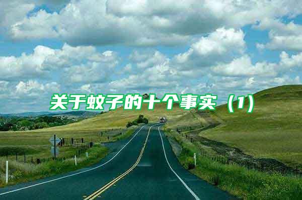 關于蚊子的十個事實（1）