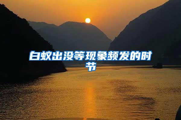 白蟻出沒等現象頻發的時節