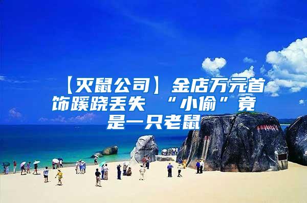 【滅鼠公司】金店萬元首飾蹊蹺丟失 “小偷”竟是一只老鼠