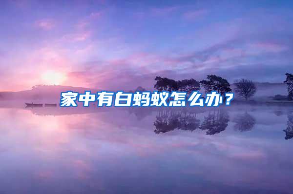家中有白螞蟻怎么辦？
