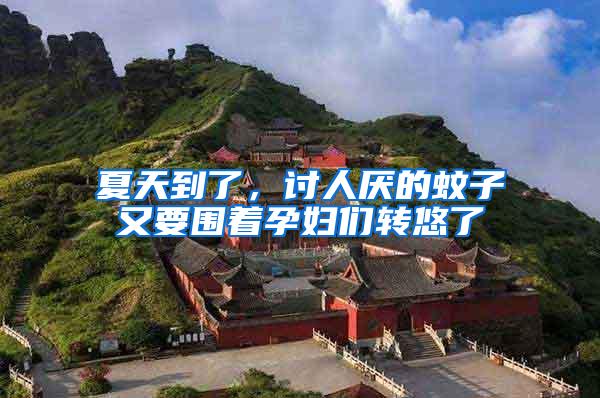夏天到了，討人厭的蚊子又要圍著孕婦們轉悠了