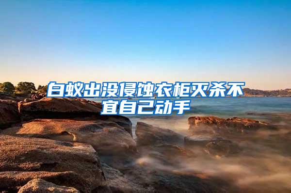 白蟻出沒侵蝕衣柜滅殺不宜自己動手