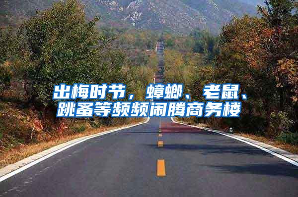 出梅時節(jié)，蟑螂、老鼠、跳蚤等頻頻鬧騰商務樓