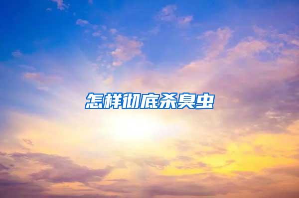 怎樣徹底殺臭蟲