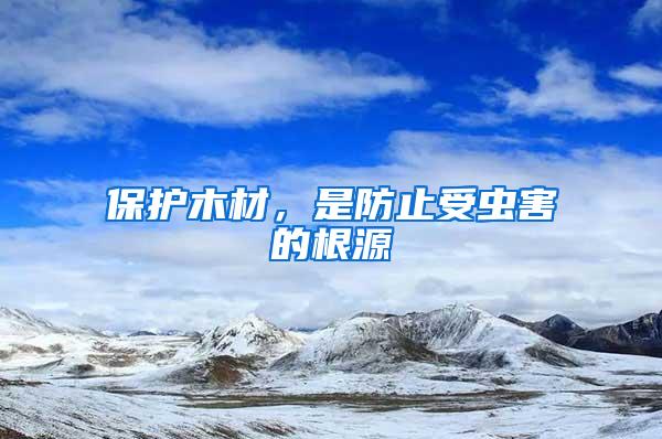 保護木材，是防止受蟲害的根源