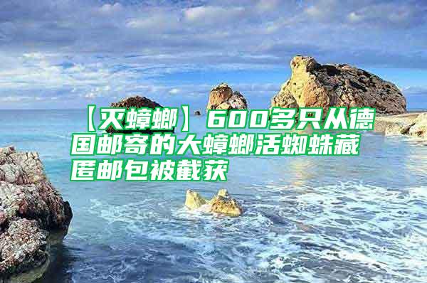 【滅蟑螂】600多只從德國(guó)郵寄的大蟑螂活蜘蛛藏匿郵包被截獲