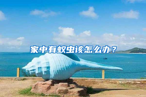 家中有蟻蟲(chóng)該怎么辦？