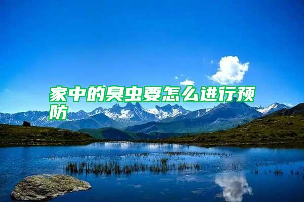 家中的臭蟲要怎么進行預防
