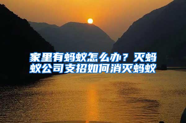 家里有螞蟻怎么辦？滅螞蟻公司支招如何消滅螞蟻