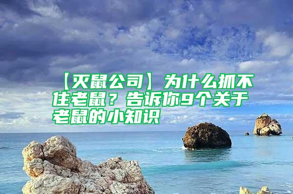 【滅鼠公司】為什么抓不住老鼠？告訴你9個(gè)關(guān)于老鼠的小知識