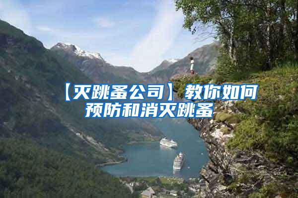 【滅跳蚤公司】教你如何預防和消滅跳蚤
