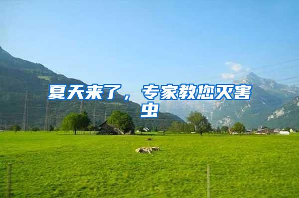 夏天來了，專家教您滅害蟲