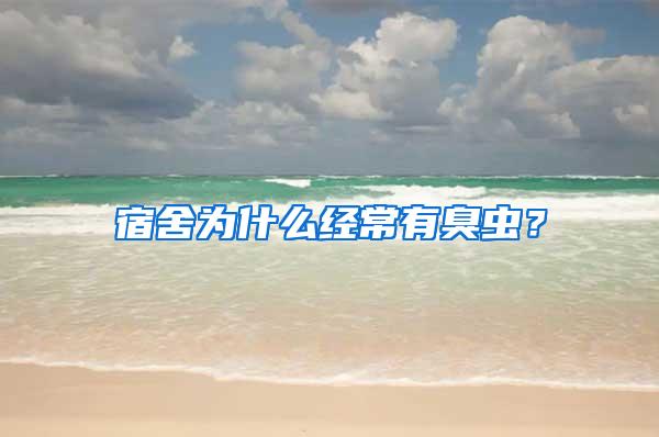 宿舍為什么經常有臭蟲？