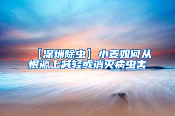 【深圳除蟲】小麥如何從根源上減輕或消滅病蟲害